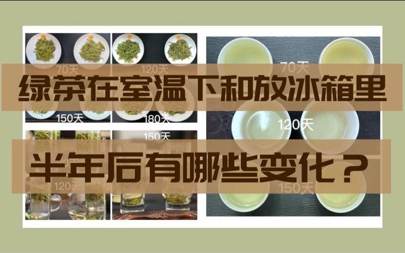 密封的茶叶可以冷冻吗,绿茶能保存多久 密封的茶叶可以冷冻吗,绿茶能保存多久