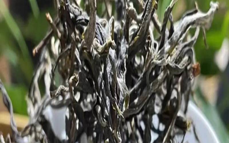 云南茶叶种类百度百科（云南茶叶种类）