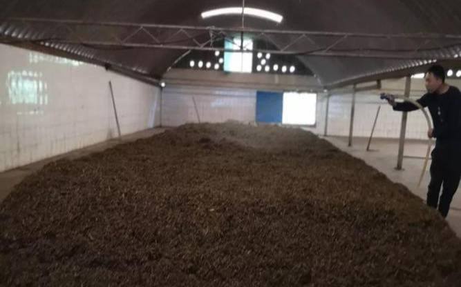 茶叶发酵如何保存最好（茶叶是怎样发酵的）