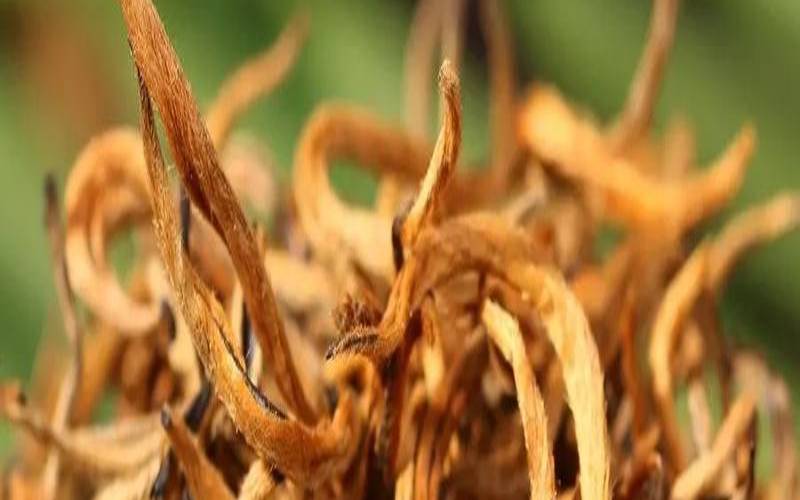 云南著名茶叶五大种类,云南的茶叶有哪些品种 云南著名茶叶五大种类,云南的茶叶有哪些品种