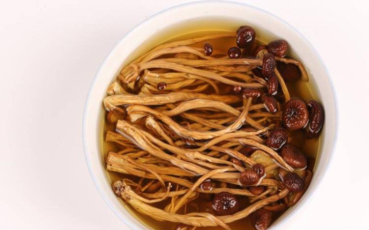 茶菇什么功效,茶树菇有什么好处