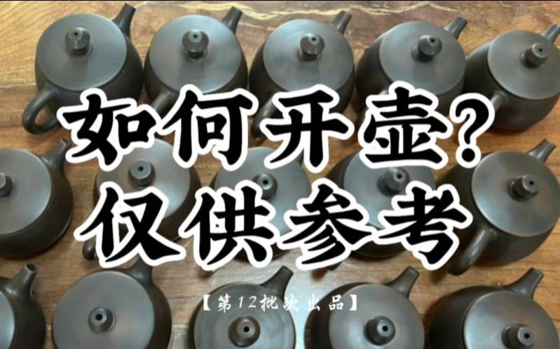 花茶壶怎么清洗（普洱茶生茶用什么壶泡好）