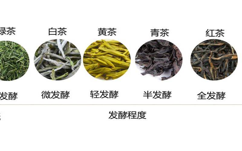 福建绿茶有哪些品种排名,懂茶的一般在哪买茶叶 福建绿茶有哪些品种排名,懂茶的一般在哪买茶叶