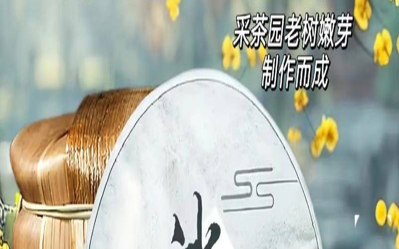 云南银芽茶属于什么茶,普洱冰岛茶生茶价格 云南银芽茶属于什么茶,普洱冰岛茶生茶价格
