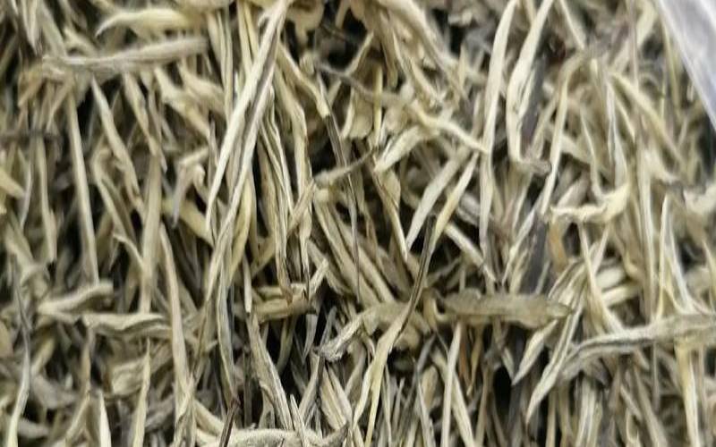 一部手机游云南的不足（云南茶叶种类）