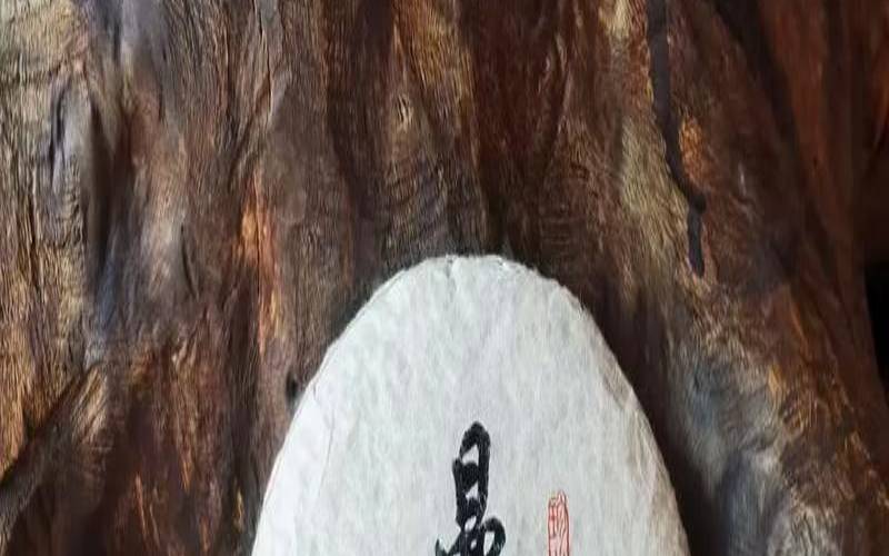 曼松普洱茶泡茶温度多少（普洱茶一次泡多少克）