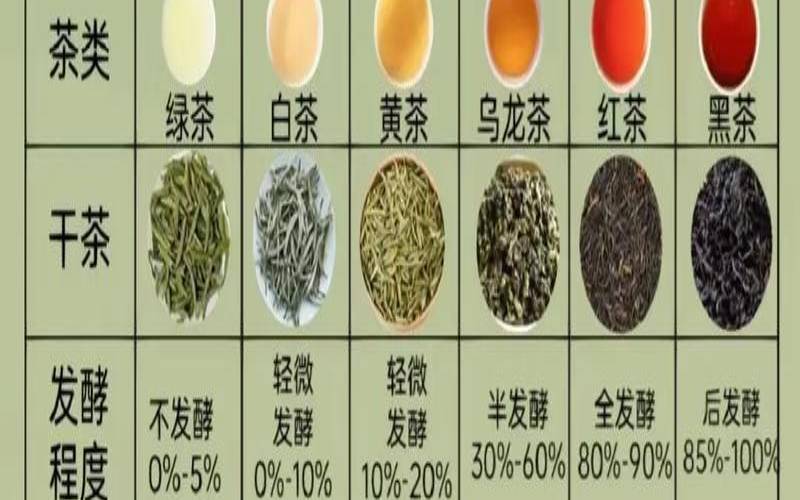 什么茶叶能减肚子（喝什么茶瘦肚子最快最有效）