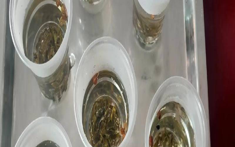 茶叶和花椒一起泡（泡茶加花椒有什么功效）