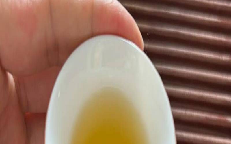 问专家普洱茶怎么泡（普洱茶怎么泡才好喝）