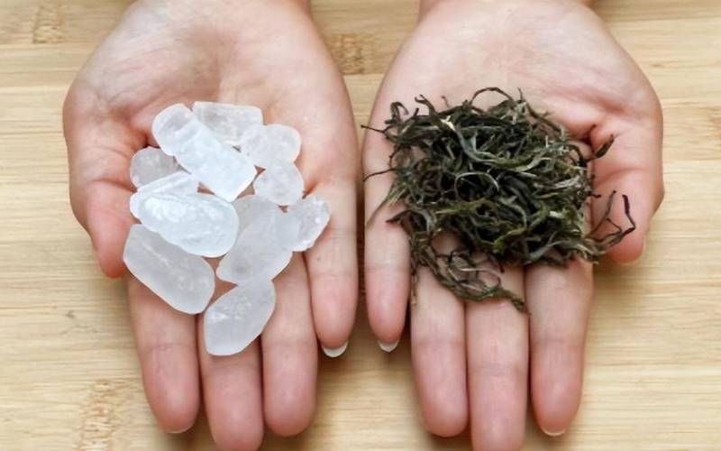 普洱茶里面可以放冰糖吗（茶叶放糖好不好）