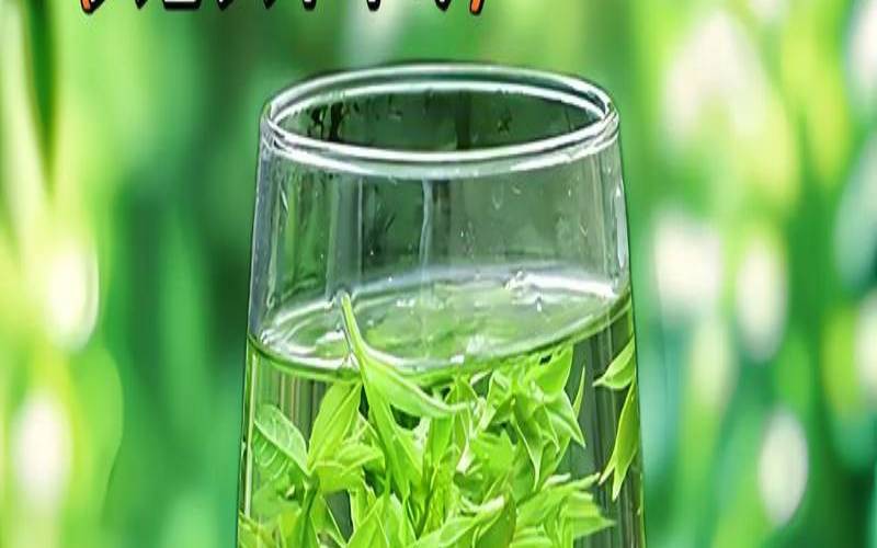 入口很苦的茶,味道较苦的茶有哪几种 入口很苦的茶,味道较苦的茶有哪几种