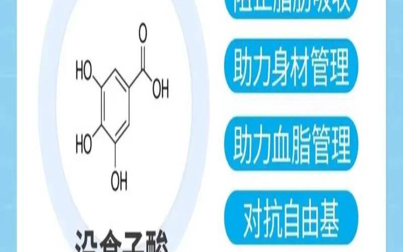 喝普洱茶能不能减肥（什么东西最刮油减肥）