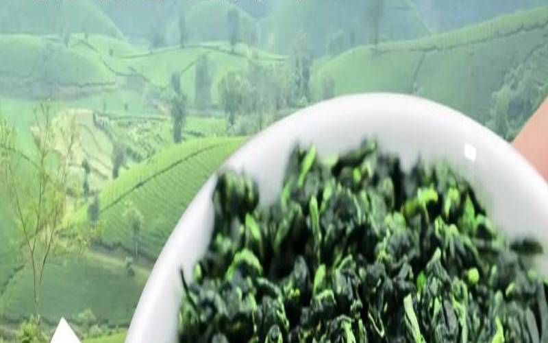 茶叶用什么存放,铁观音茶叶有保质期吗 茶叶用什么存放,铁观音茶叶有保质期吗