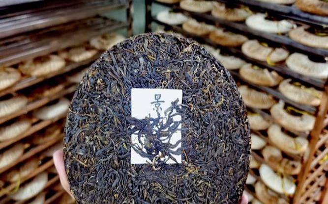 景迈古树茶有收藏价值吗（2008年的普洱茶值多少钱）