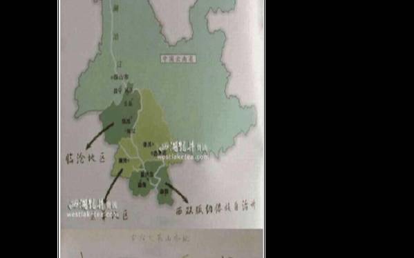 云南黄金桂茶叶产地是哪里,云南普洱茶产地在哪里
