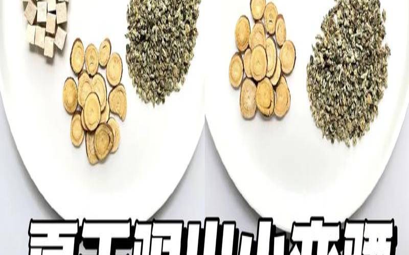 减肥喝茶水可以减肥吗,减肥最快效果最好方法 减肥喝茶水可以减肥吗,减肥最快效果最好方法