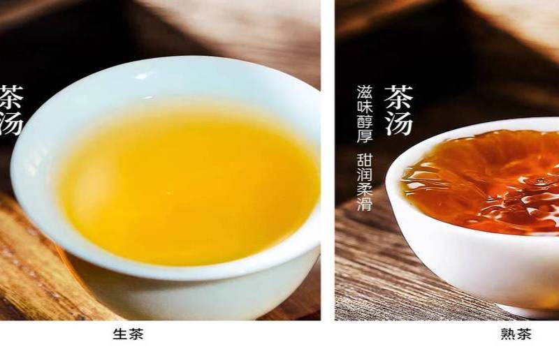 云南普洱茶是什么茶（普洱茶的鉴别方法）