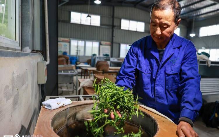 自己炒的茶叶怎么不好喝（茶叶长期保存方法）