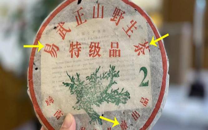 普洱茶树年龄（普洱茶树年龄最大多少年）