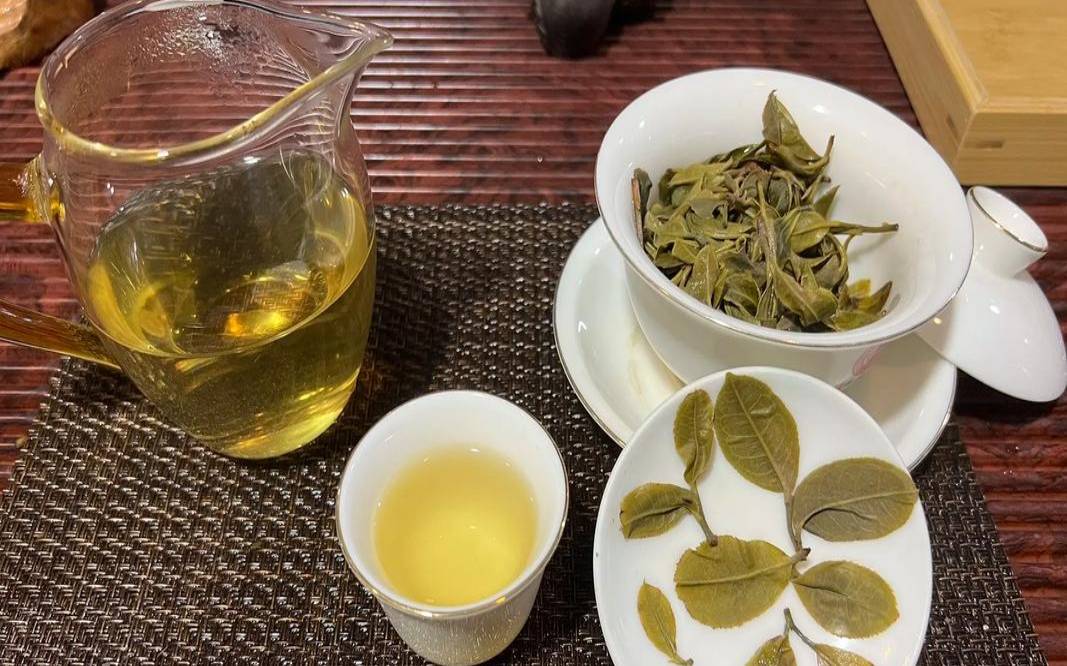 猫耳朵茶叶价格（倚邦猫耳朵多少一斤）
