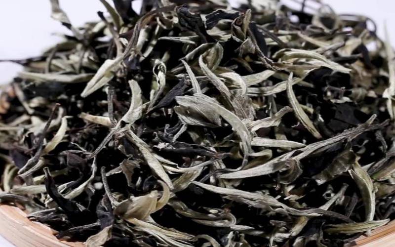 白普洱茶是什么茶（喝什么茶可以减肥减脂肪）