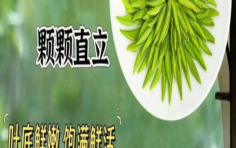 明前普洱茶特点（什么叫明前茶）