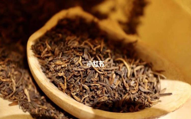 勐海普洱茶怎么样（普洱茶熟茶怎么泡最好喝）