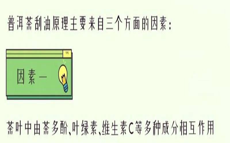 饭后喝普洱茶能减肥吗（饭后喝普洱茶好不好）