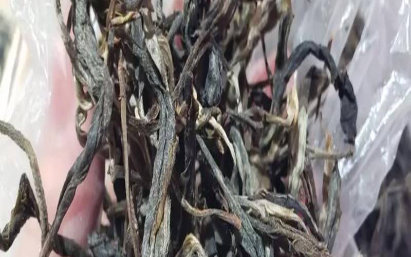 云南秘境普洱茶,云南有什么茶 云南秘境普洱茶,云南有什么茶