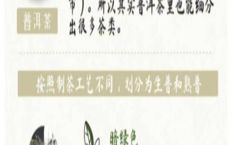 2005年普洱熟茶价格（生普排名一览表）