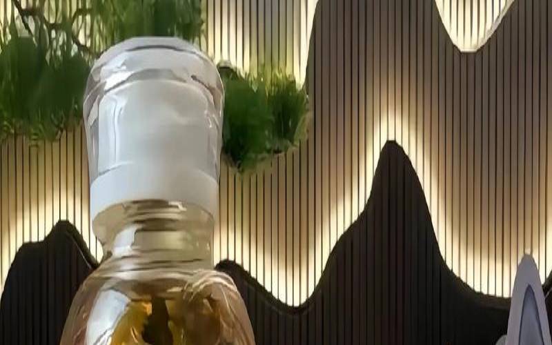 普洱茶可以祛湿驱寒吗（湿气重怎么调理吃什么）