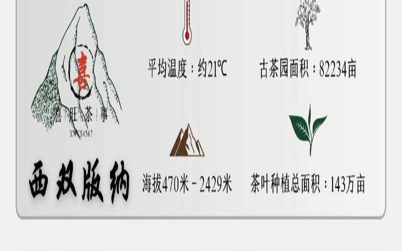 云南普洱茶知识科普（普洱茶的功效与作用介绍）