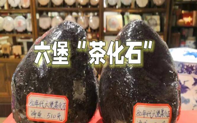云南天地人茶叶旗舰店,茶化石隔夜还可以泡吗 云南天地人茶叶旗舰店,茶化石隔夜还可以泡吗