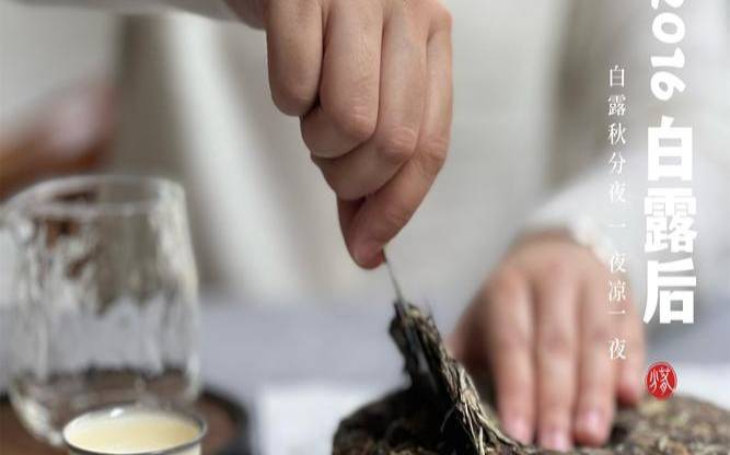 普洱茶饼怎么泡发和吃法（白茶饼冲泡方法）