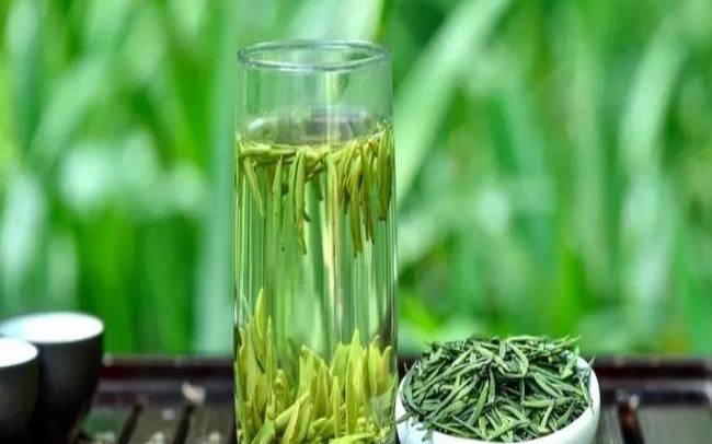 毛尖茶叶茶怎么保存好（毛尖是红茶还是绿茶）