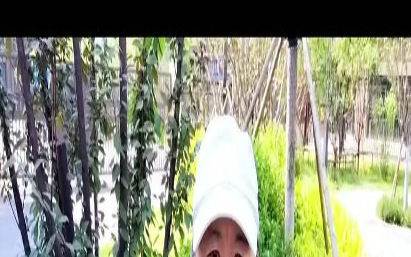 减肥果能和茶叶一起喝吗,瘦瘦果可以和绿茶一起泡吗 减肥果能和茶叶一起喝吗,瘦瘦果可以和绿茶一起泡吗
