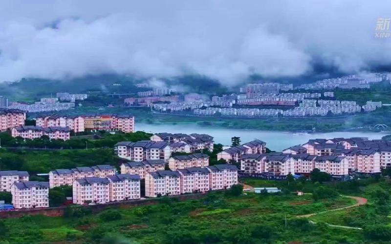 云南昭通绥江特产（想卖茶叶怎么进货）