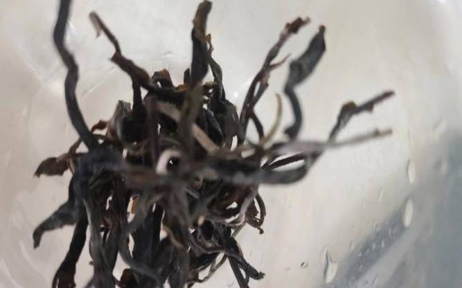 一根一根的茶是什么茶,茶叶一根一根的是什么茶 一根一根的茶是什么茶,茶叶一根一根的是什么茶