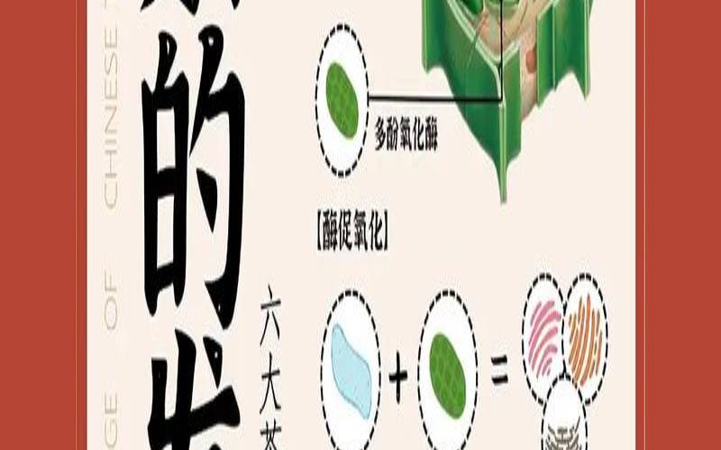 茶叶中发酵的是,发酵的茶叶有几种 茶叶中发酵的是,发酵的茶叶有几种