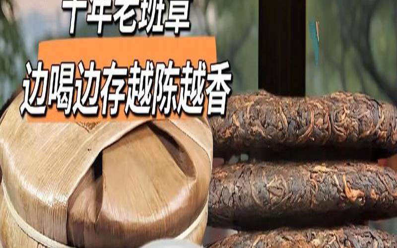 普洱茶茶王是什么茶,中国普洱茶排名