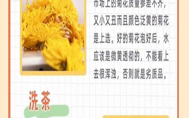 柚子茶水有什么效果,菊花和茶叶能一起泡吗 柚子茶水有什么效果,菊花和茶叶能一起泡吗