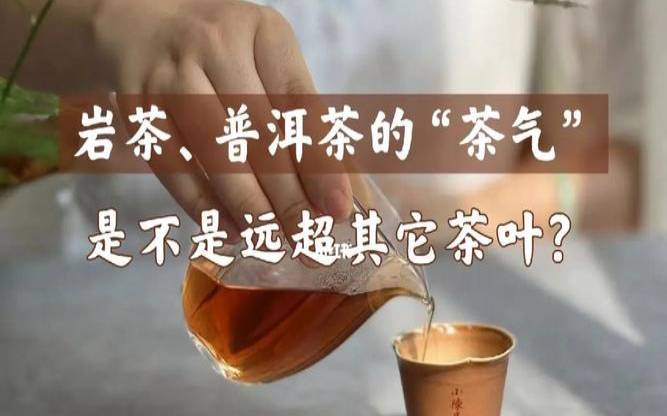 绿茶与普洱茶一起泡吗,喝绿茶好还是喝普洱茶好