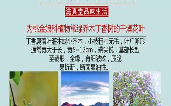 长白山丁香茶图片价格大全,长白山丁香叶茶的骗局 长白山丁香茶图片价格大全,长白山丁香叶茶的骗局