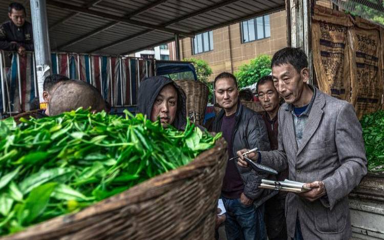 中卫市木材批发市场,雅安名山茶叶批发市场 中卫市木材批发市场,雅安名山茶叶批发市场