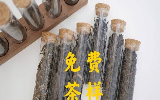 用玻璃瓶泡茶可以吗,茶叶可以放玻璃瓶保存吗 用玻璃瓶泡茶可以吗,茶叶可以放玻璃瓶保存吗