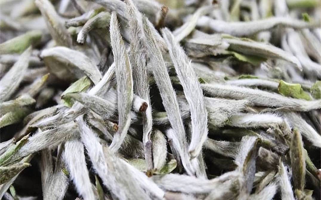 最好的茶叶品种,最好的茶叶是什么品种 最好的茶叶品种,最好的茶叶是什么品种