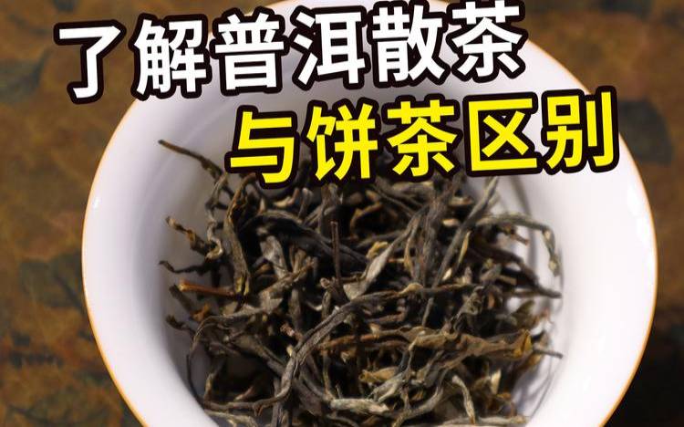 普洱茶饼跟散茶的区别,怎么喝普洱茶饼