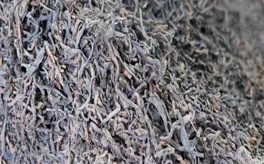 普洱茶为什么喝生不喝熟,如何判断普洱茶发霉了