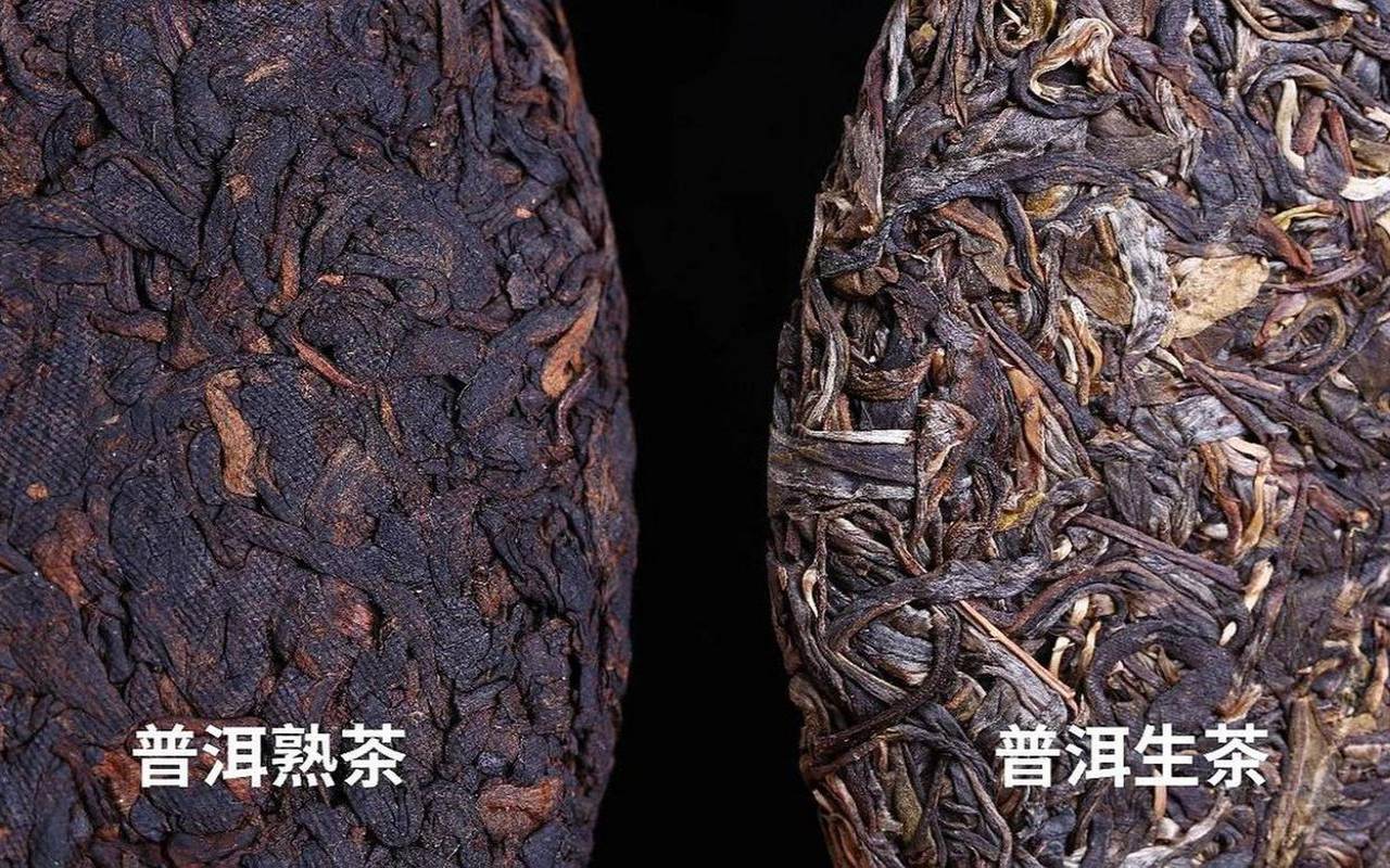 普洱饼茶怎样喝,七子饼茶是生茶还是熟茶