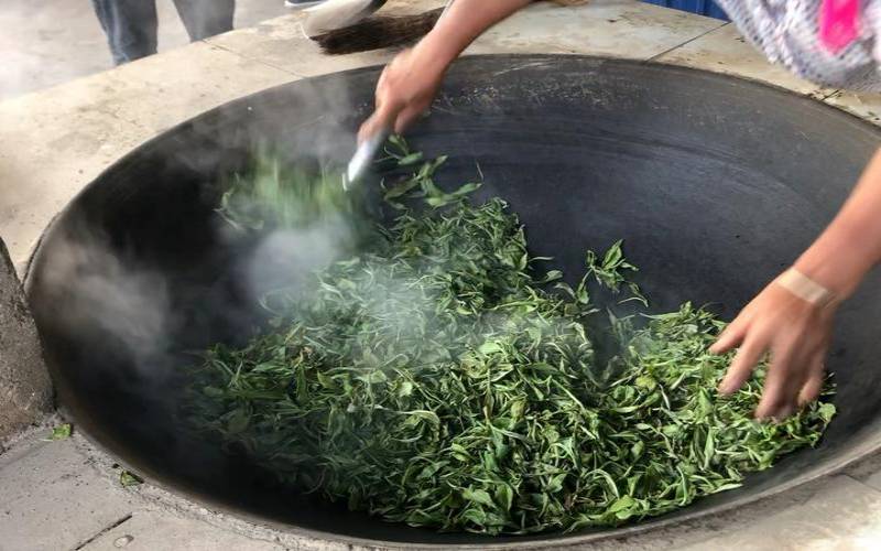 炒茶有什么功效和作用,长期喝炒茶对身体好吗 炒茶有什么功效和作用,长期喝炒茶对身体好吗